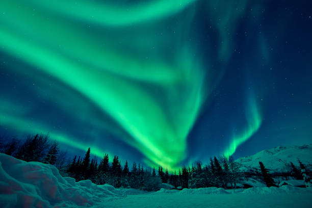 istock Green Aurora Borealis, Alaska, USA 1395096040