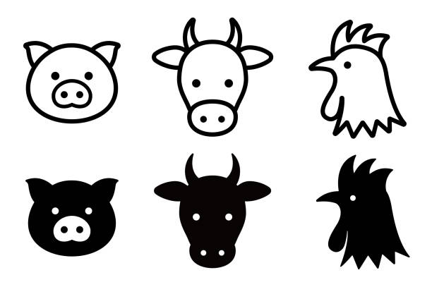beaf,chicken,pork beaf,chicken,pork icon cute pig silhouette stock illustrations