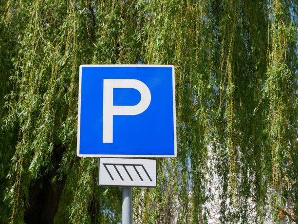 istock Parking lot sign in front of a tree 1395097996