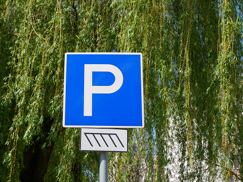 Parking lot sign in front of a tree