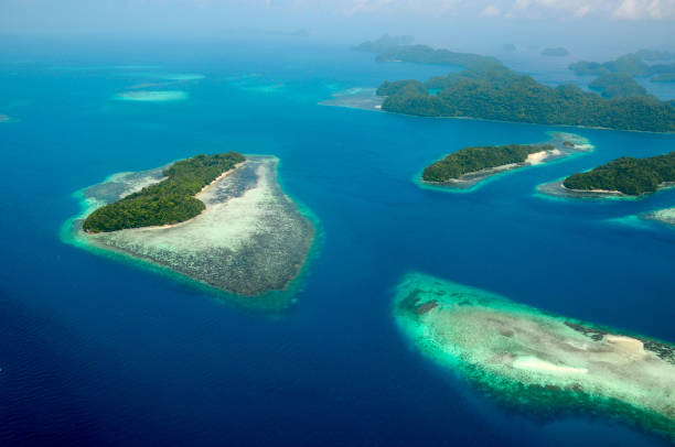 The Gorgeous “Garden on the Ocean” of Palau: Aerial View of Rock Islands Palau- October 6, 2015: Palau is a beautiful island in the Philippine Sea, Northern Pacific Ocean. It is well-known for its race scenery, the Rock Islands. When you take the airplane over the Islands, you can see stunning view of  reefs, jungles, beaches, lagoons and  turquoise color sea waters, no words can describe the beauty of the "Garden on the Ocean". palau beach stock pictures, royalty-free photos & images