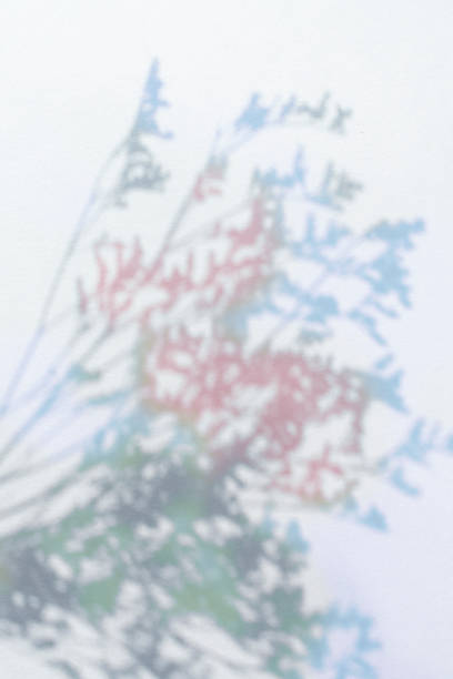 istock Dreamy plant silhouette and copy space 1395108698