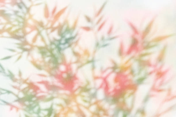 istock Dreamy plant silhouette and copy space 1395108722