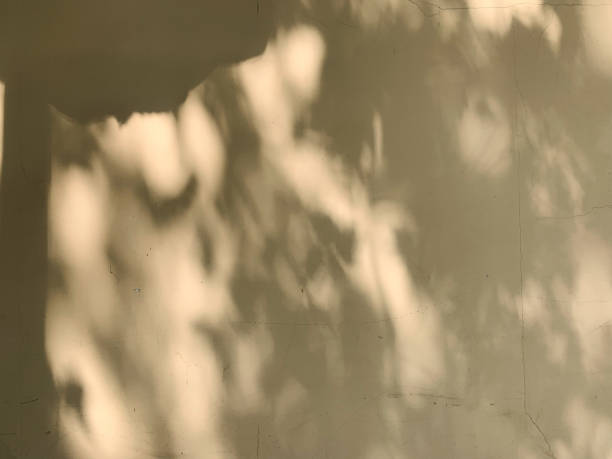 istock shadow of the trees 1395108784