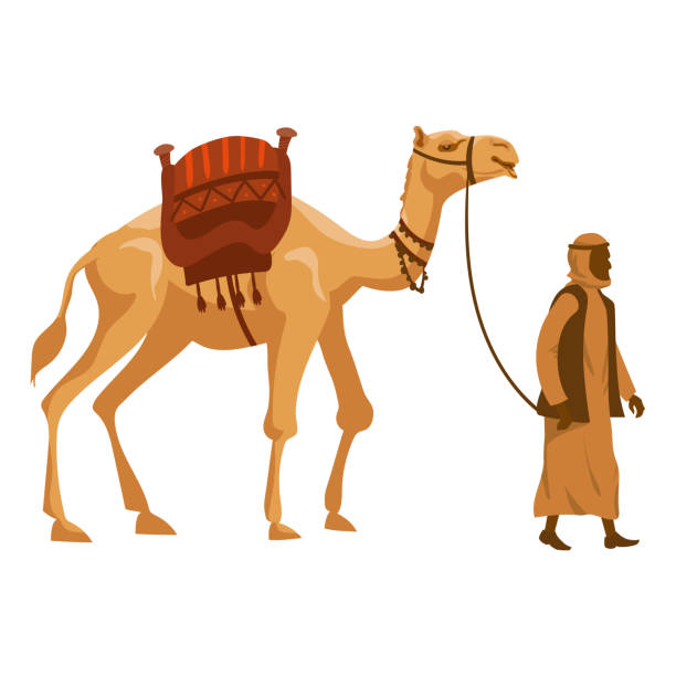 ラクダとアラブ人のラクダ。ベクターイラストレーション - united arab emirates middle eastern ethnicity men camel点のイラスト素材／クリップアート素材／マンガ素材／アイコン素材