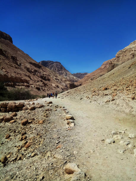 istock Hot and dry path into the desert canyon 1395117330