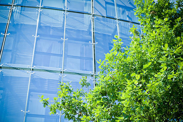 istock Business office and green tree 139511816