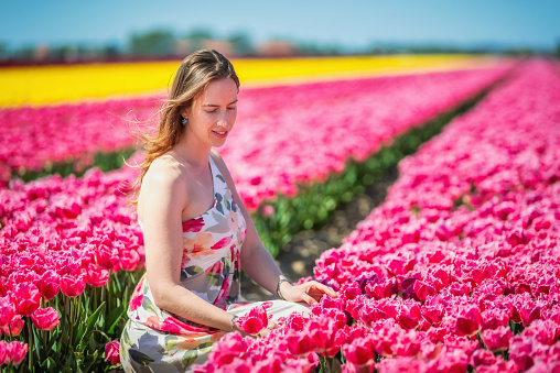 dutch woman seated looking the pink tulip flowers in the spring in the Netherlands