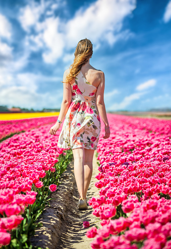 rear view of a redhead dutch woman walking in the spring in the tulip flields in Netherlands