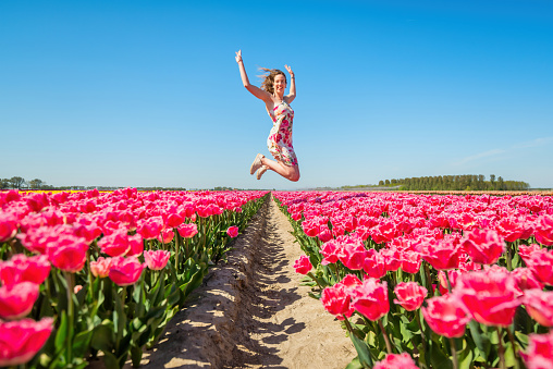 Happy woman jumping in the pink tulip field in Netherlands