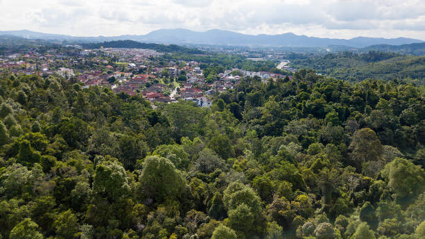 medio ambiente - escena no urbana - non rural scene fotografías e imágenes de stock