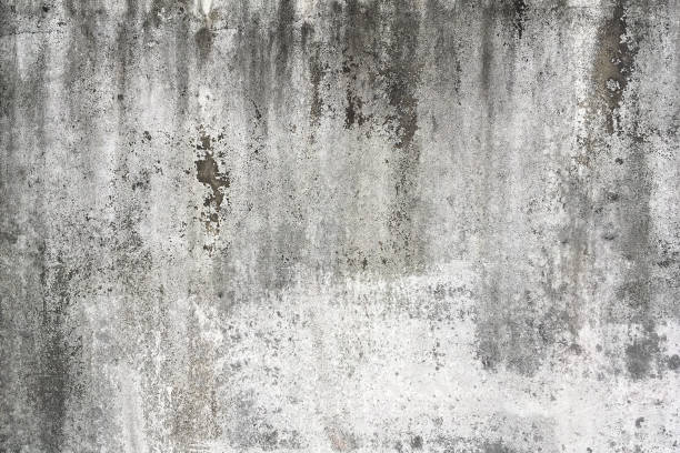 istock Old concrete white-black-gray wall textures for background with cracks textures,Abstract backgrounds. 1395120088