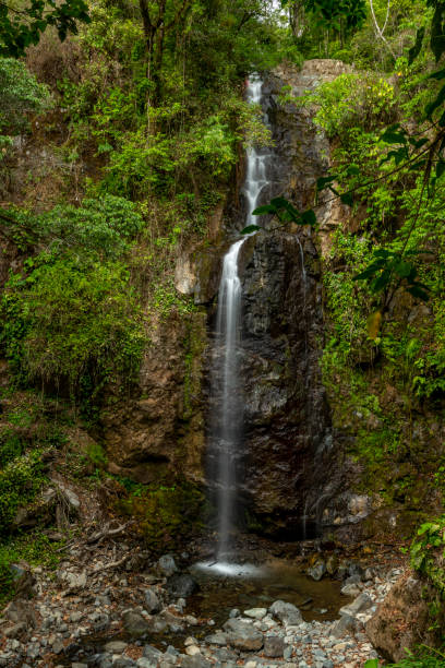 istock Waterfall, stream and lush cloud forest in Chiriqui Highlands, Panama. 1395120687