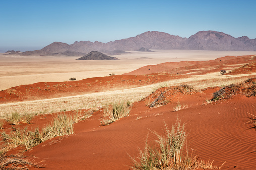 Breathtaking view over the dunes of the Namib Rand Nature Reserve. The landscape with the color contrasts is unique: red ferruginous sand, yellow grass plains and purple shining rocks. A natural wonder.