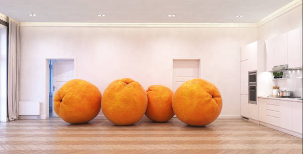 giant oranges in the room stock photo