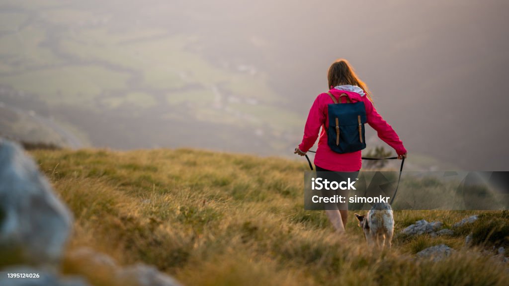 Woman and dog walking on grassy land Rear view of young woman and dog walking on grassy land. Pet Leash Stock Photo