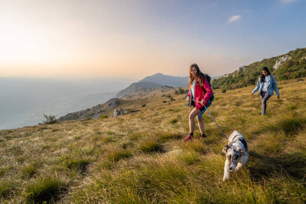Young women hiking with dog on grassy mountain against sky.