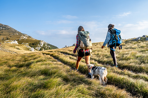 Rear view of young women hiking with dog on grassy land against cloudy sky.