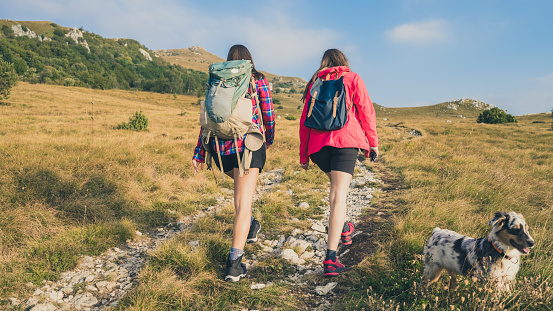 Rear view of young women hiking with dog on grassy land against cloudy sky.