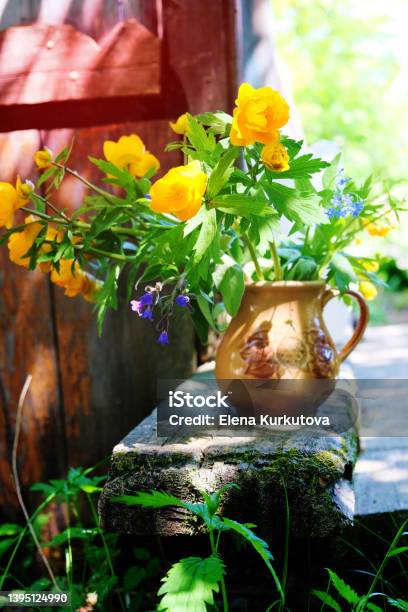 Rustic Still Life Summer Flowers In Old Clay Jag Still Life Of Rural Life Stock Photo - Download Image Now