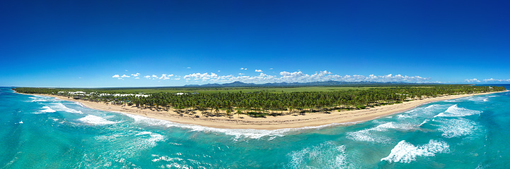 Wild tropical coastline with coconut palm trees and turquoise caribbean sea. Beautiful travel destination. Aerial panorama view