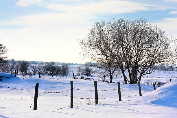 istock Frosty Winter Wonderland 139512722