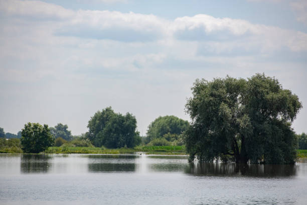 istock River IJssel with high water level during summer 1395132380
