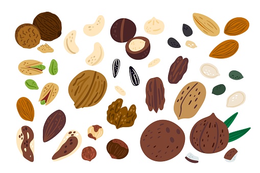 Cartoon nuts. Funny superfood. Different types of dry fruits. Cute walnut or hazelnut. Healthy vegan snacks. Isolated almond and pistachio. Pumpkin or sunflower seeds. Vector natural food products set