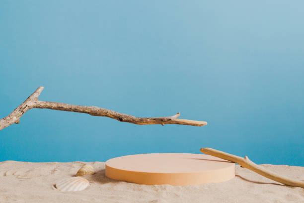 istock Empty round beige platform podium and dry tree twigs on white beach sand background. Minimal creative composition background for cosmetics or products presentation with blue background. Front view 1395134955