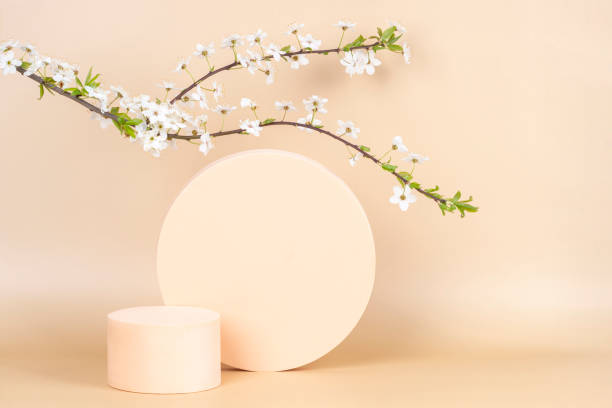 istock Podium platform for product presentation and spring flowering tree branch with white flowers on pastel background 1395135033