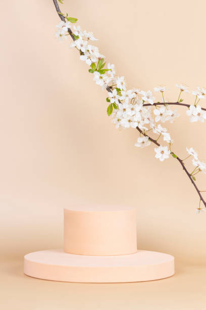 istock Podium platform for product presentation and spring flowering tree branch with white flowers on pastel background 1395135046