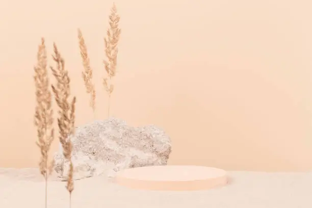 Photo of Round beige platform podium and grungy concrete stone on white beach sand with dry bent plant in foreground. Minimal creative composition background for cosmetics or products presentation. Front view