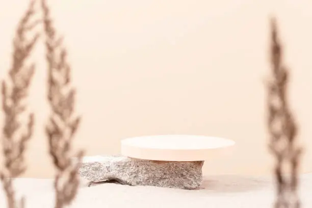 Photo of Round beige platform podium on grungy concrete stone on white beach sand with dry bent plant in foreground. Minimal creative composition background for cosmetics or products presentation. Front view