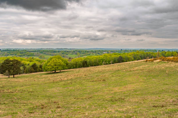 Colourful woods of Ashdown Forest on a cloudy day Showing the Colourful woods and fields of Ashdown Forest on a cloudy day ashdown forest photos stock pictures, royalty-free photos & images