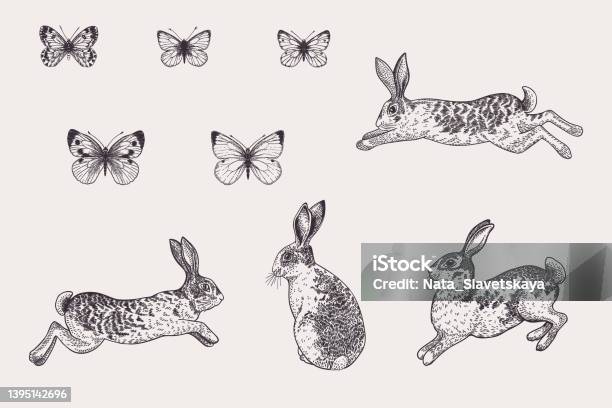 Butterfly Pattern On A Rabbit Set With Rabbits And Butterflies Stock Illustration - Download Image ...