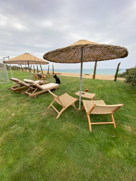 терраса для загара, праздник, природа, зонтик, пляж, измир, турция - parasol formal garden furniture sofa стоковые фото и изображения