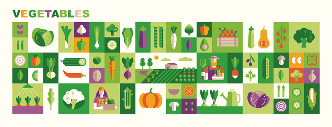 Set of vegetables illustrations: cabbage, broccoli, cucumber, tomato, zucchini, eggplant, carrot. Fresh healthy food. Vector icons in flat geometric style: veg, farmland, farmers and product boxes.