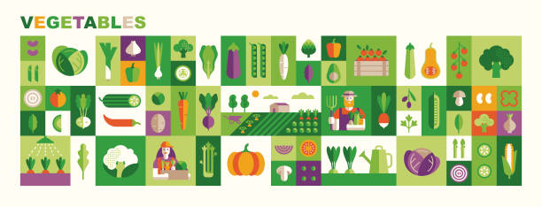 Vegetables Set of vegetables illustrations: cabbage, broccoli, cucumber, tomato, zucchini, eggplant, carrot. Fresh healthy food. Vector icons in flat geometric style: veg, farmland, farmers and product boxes. cauliflower nutrition stock illustrations