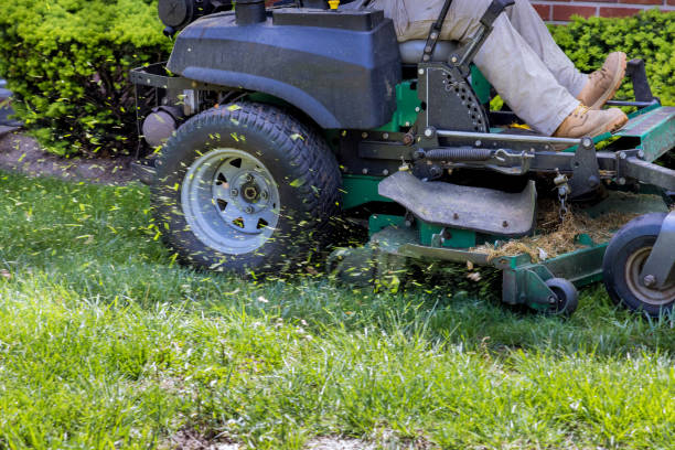 istock Lawn mower cutting in the grass on sunny spring day 1395144592