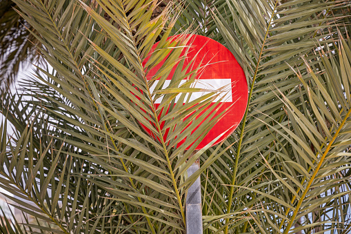 Do not enter sign covered by the leaves of at canary palm tree. The picture is from Santa Cruz which is the main city on the Spanish Canary island Tenerife