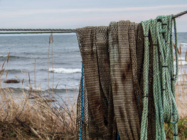 Fishing nets drying on the shore