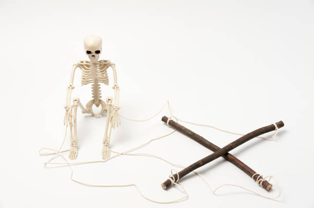 istock a sitting toy human skeleton 1395151741