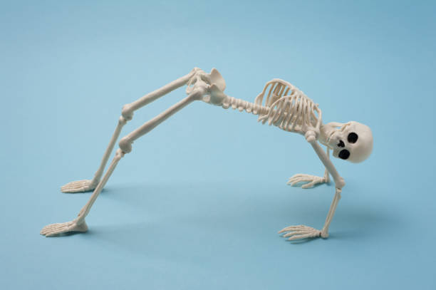 Skeleton Funny Stock Photos, Pictures & Royalty-Free Images - iStock