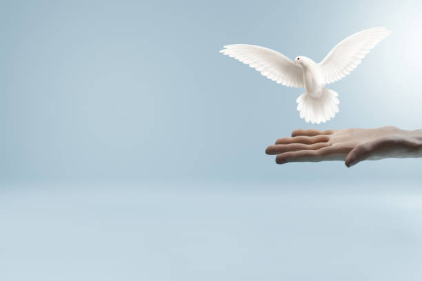 istock White dove flying out of hand 1395154731