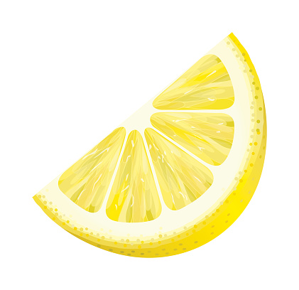 vector, illustration, lemon, lemon slice