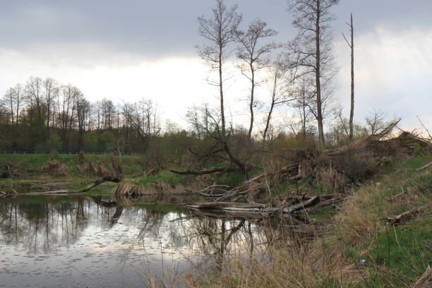 istock Landscape by the pond 1395157090