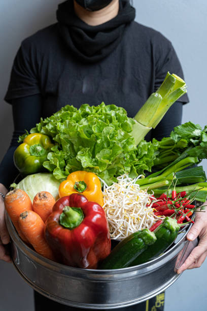 holding fresh organic vegetable stock photo