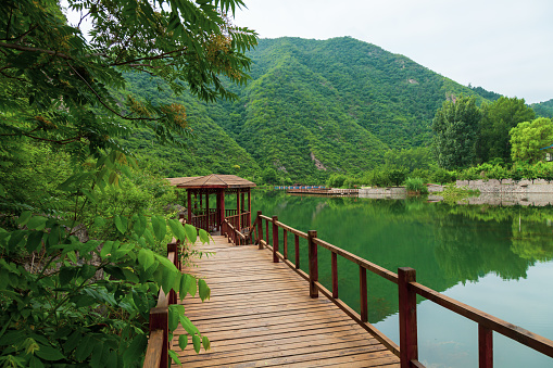 Monet's pond, Seki City, Gifu Pref., Japan