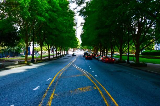 istock Tree lined Peachtree Street 1395158811