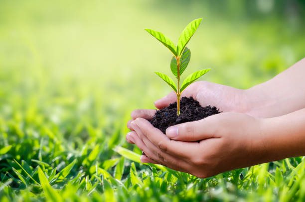 istock hand holding a heart tree environment earth day 1395161977